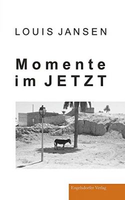 Buchcover: Momente im Jetzt von Louis Jansen