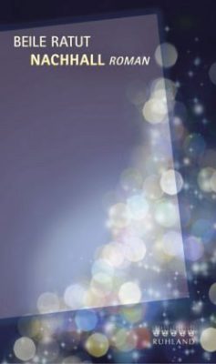 Buchcover des Romans Nachhall
