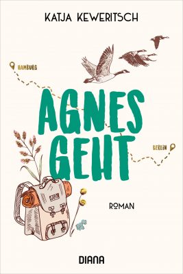 Cover von Agnes geht von Katja Keweritsch