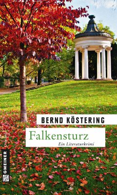 Cover von Falkensturz von Bernd Köstering