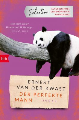 Cover von Der perfekte Mann von Ernest van der Kwast