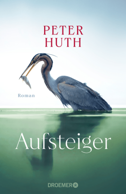 Buchcover des Romans Aufsteiger